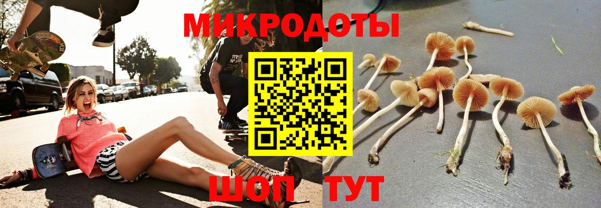 Обнинск  Псилоцибиновые грибы Magic Shrooms  Вход с VPN 