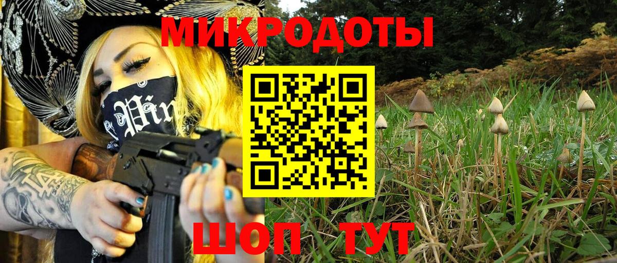 Галлюциногенные грибы прущие грибы Обнинск